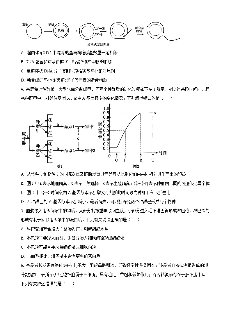 湖南省长沙市雅礼中学2023-2024学年高三上学期月考试卷(四)生物试题(原卷版)02