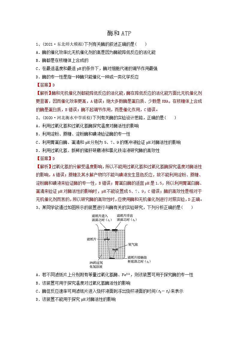 专题07 酶和ATP(精练)(解析版)第1页