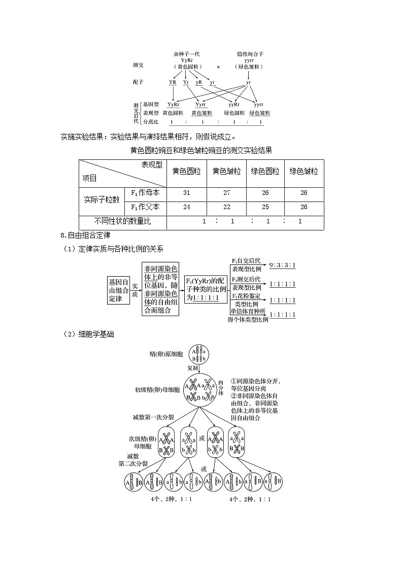 专题15 基因的自由组合定律(串讲)-备战高考生物一轮复习串讲精练(新高考专用)03