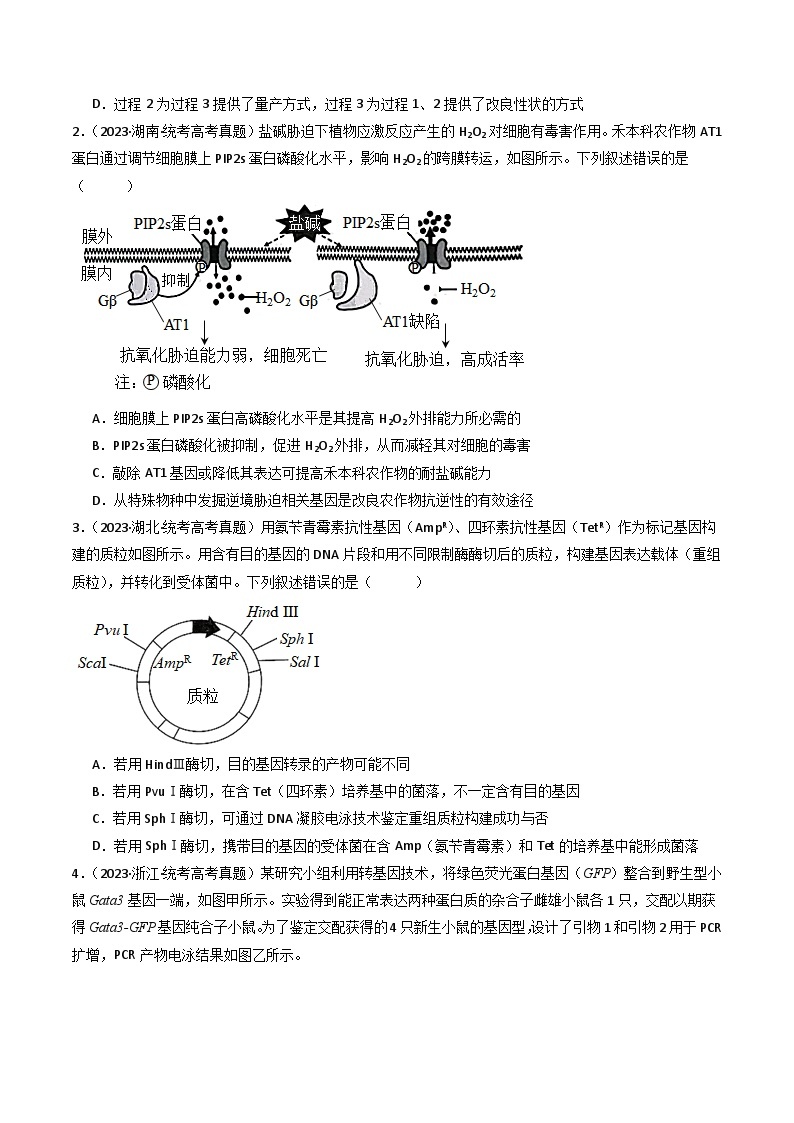 专题25 基因工程-十年（2014-2023）高考生物真题分项汇编（全国通用）02