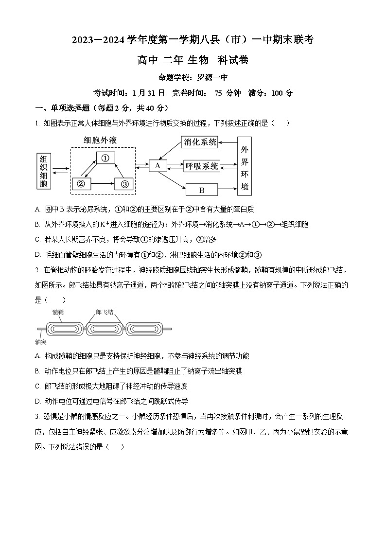 福建省福州市八县（市、区）一中2023-2024学年高二上学期期末联考生物试题（Word版附答案）01