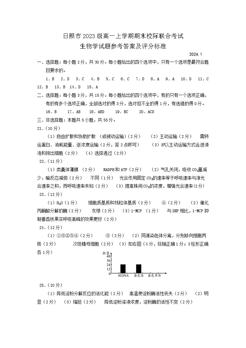 2024年1月日照市高一期末联合考试生物答案第1页