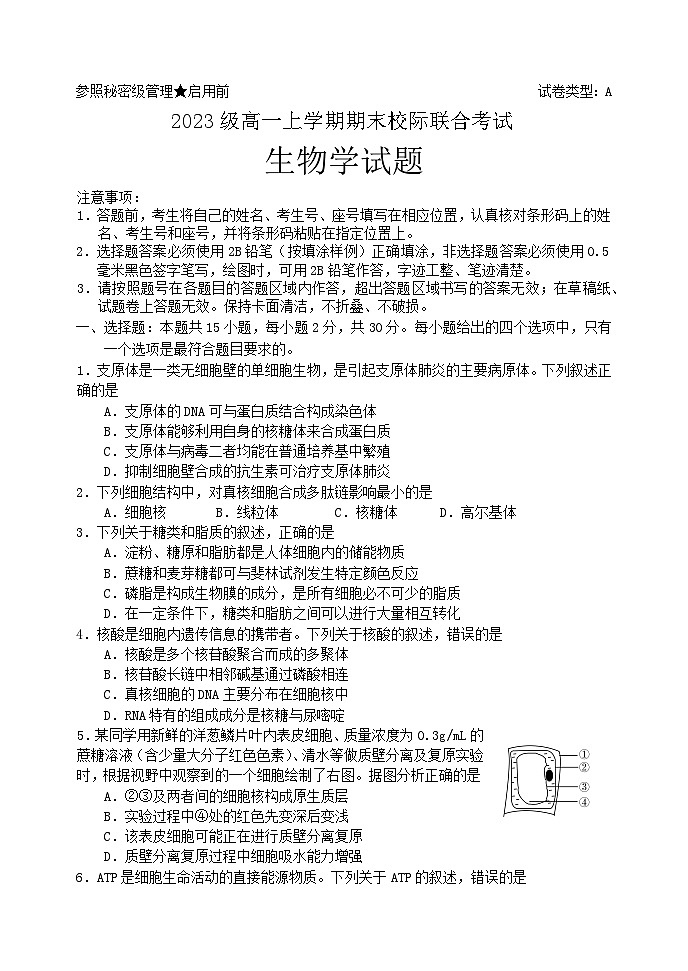 2024年1月日照市高一期末联合考试生物试题第1页