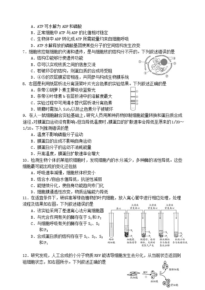 2024年1月日照市高一期末联合考试生物试题第2页