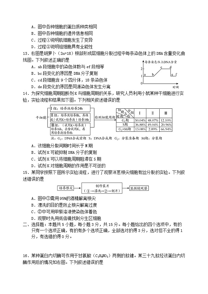 2024年1月日照市高一期末联合考试生物试题第3页