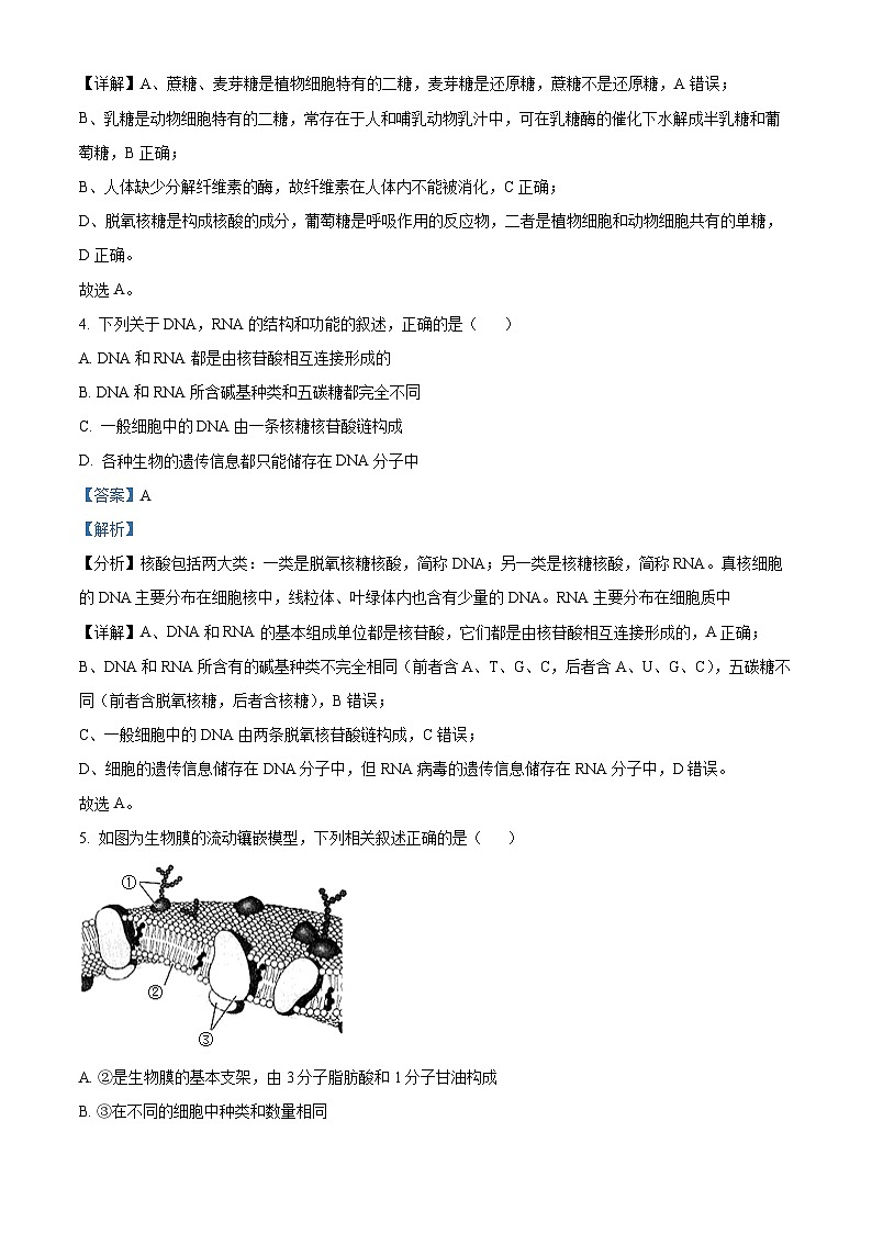 江西省部分学校2023-2024学年高一上学期期末教学质量检测生物试题(解析版)第3页