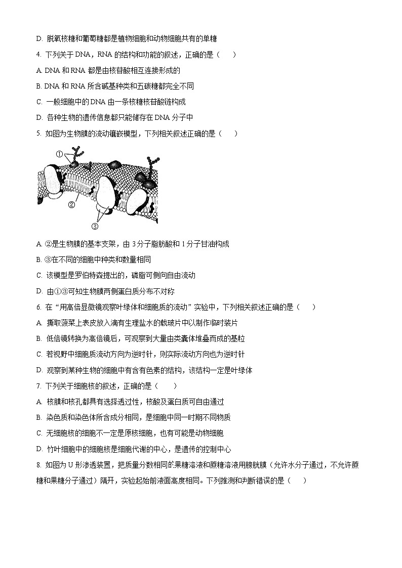 江西省部分学校2023-2024学年高一上学期期末教学质量检测生物试题(原卷版)第2页