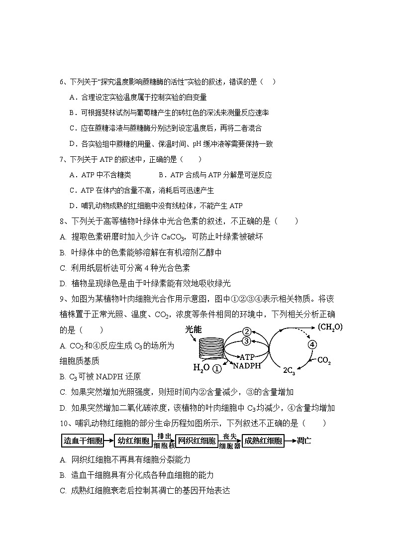 涟源市行知高级中学2023年下学期高一期末考试生物试题第2页