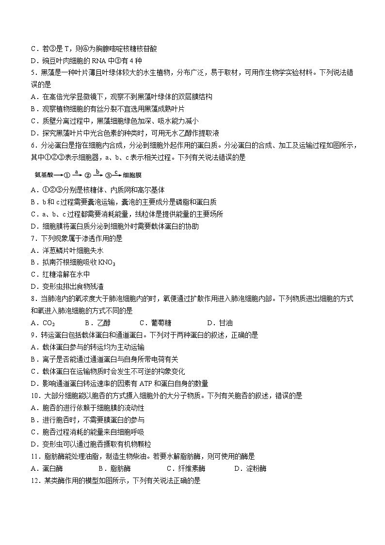 陕西省商洛市2023-2024学年高一上学期期末统测生物试题第2页