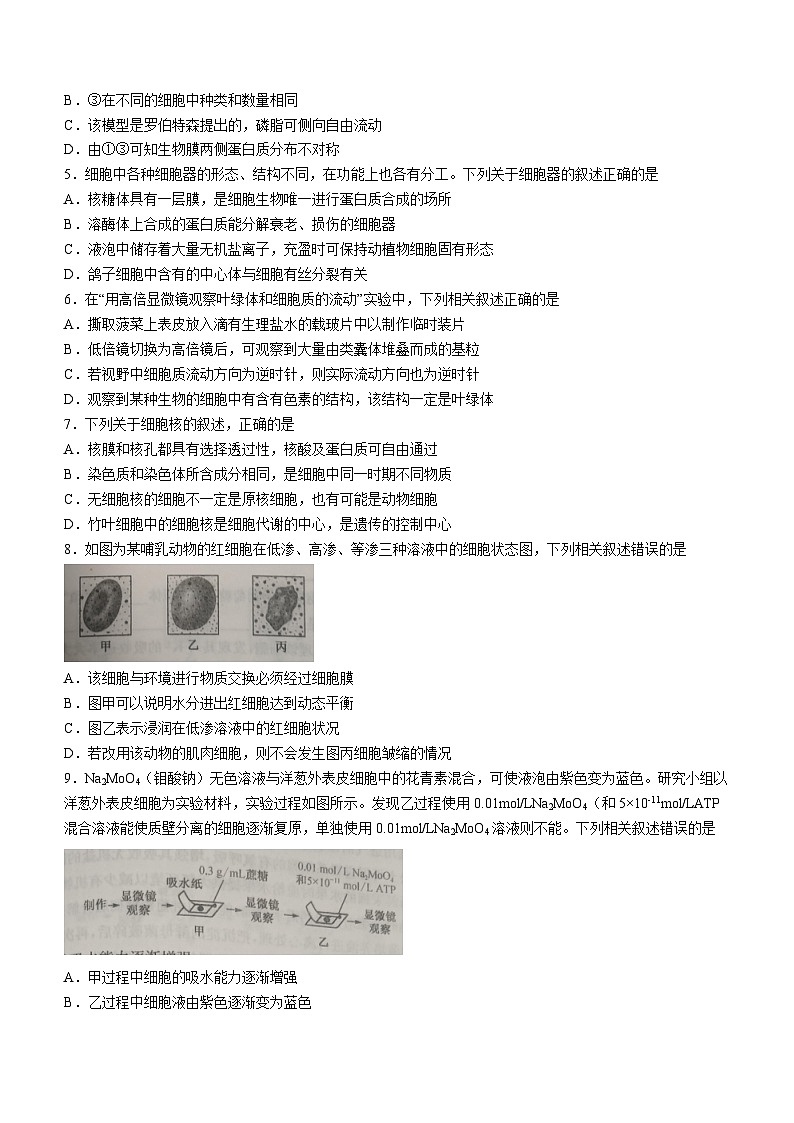 安徽省皖北六校2023-2024学年高一上学期期末联考生物试题第2页