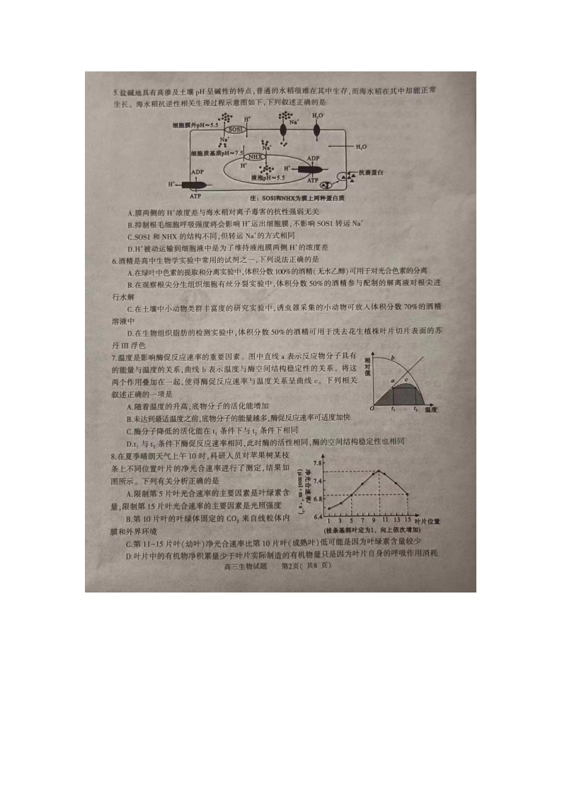 河南省信阳市2024届高三上学期第二次教学质量检测（二模）生物02