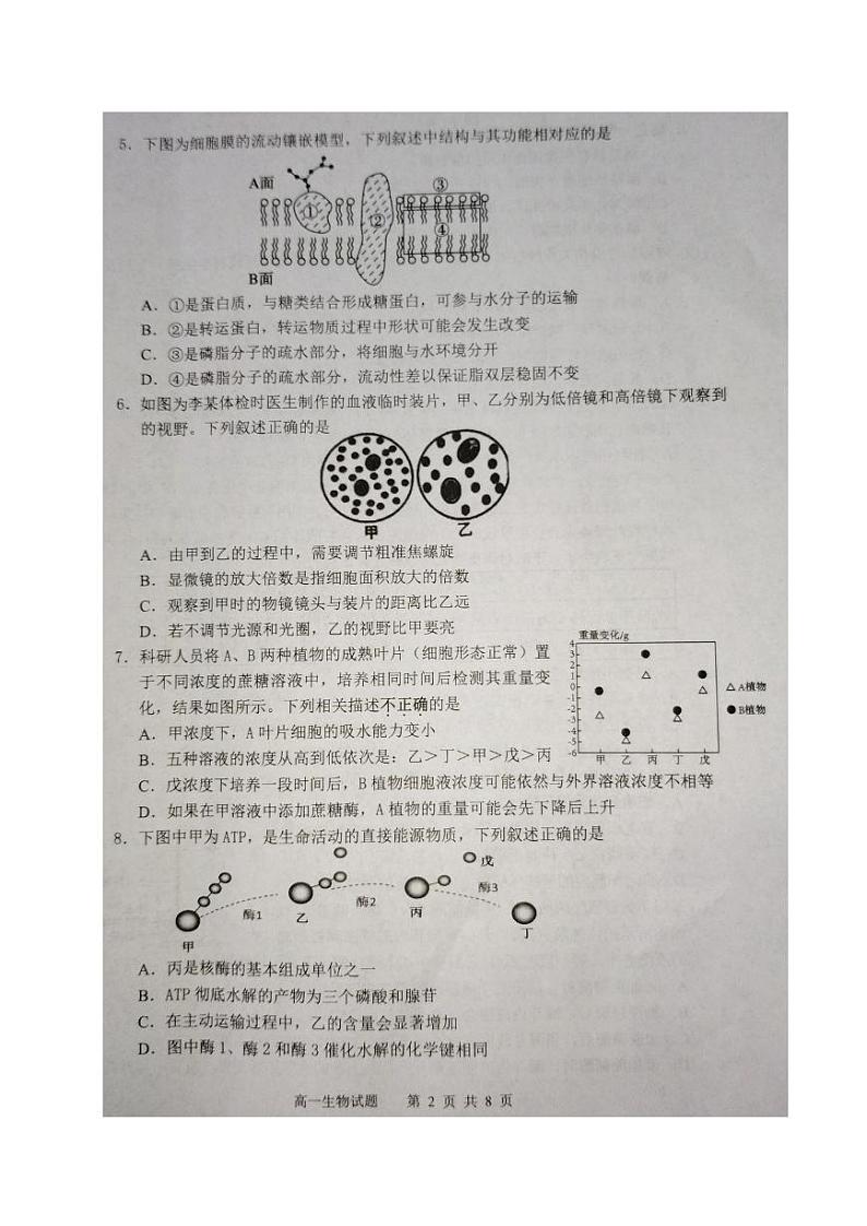 2024东台高一上学期期末考试生物PDF版含答案第2页