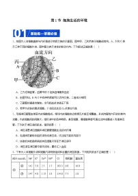 高中生物人教版 (2019)选择性必修1第1节 细胞生活的环境完美版ppt课件