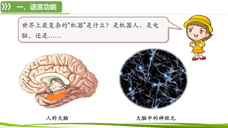 2.5 人脑的高级功能（课件）-2024-2025学年高二生物同步精品课件+分层练习（人教版选择性必修1）07