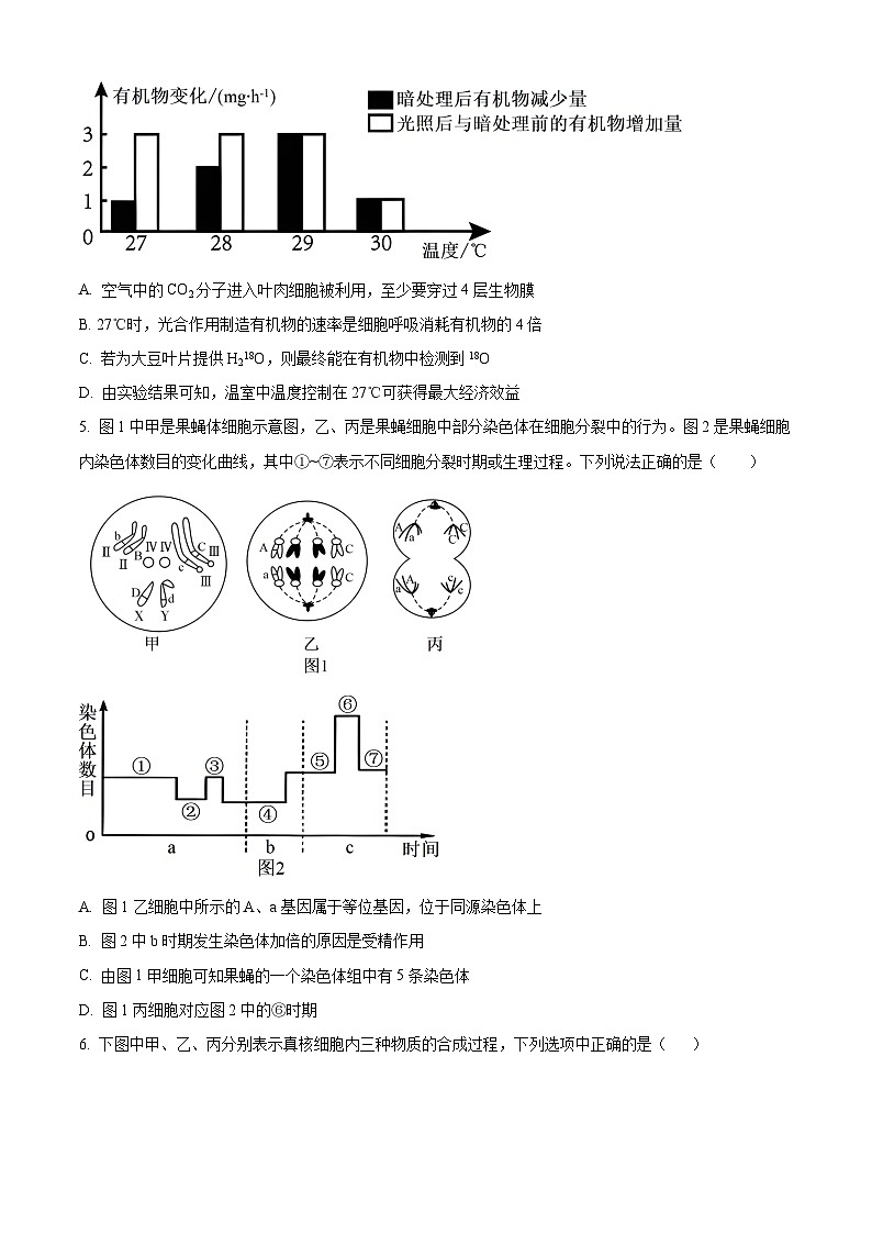 2024天津宁河区高三上学期期末练习生物含解析第2页