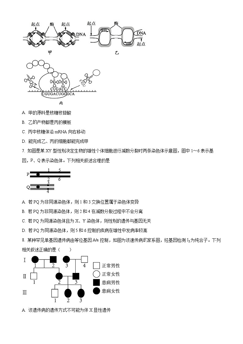 2024天津宁河区高三上学期期末练习生物含解析第3页