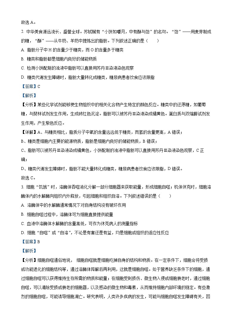 28,山东省聊城市2023-2024学年高一上学期期末生物试题02