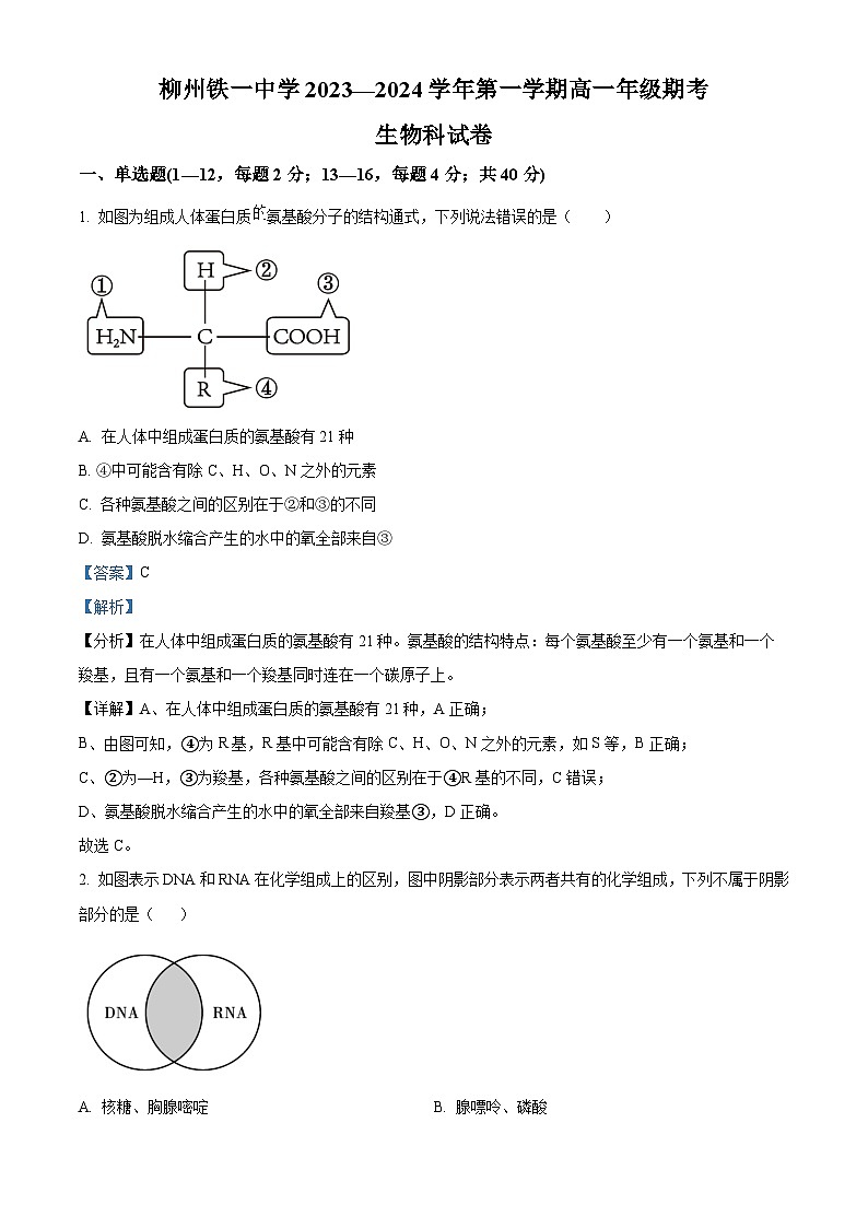 38,广西柳州铁一中学2023-2024学年高一上学期期末生物试题第1页