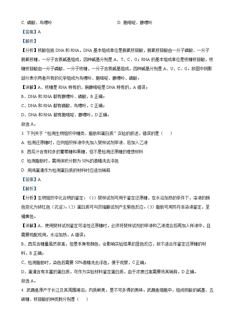 38,广西柳州铁一中学2023-2024学年高一上学期期末生物试题第2页