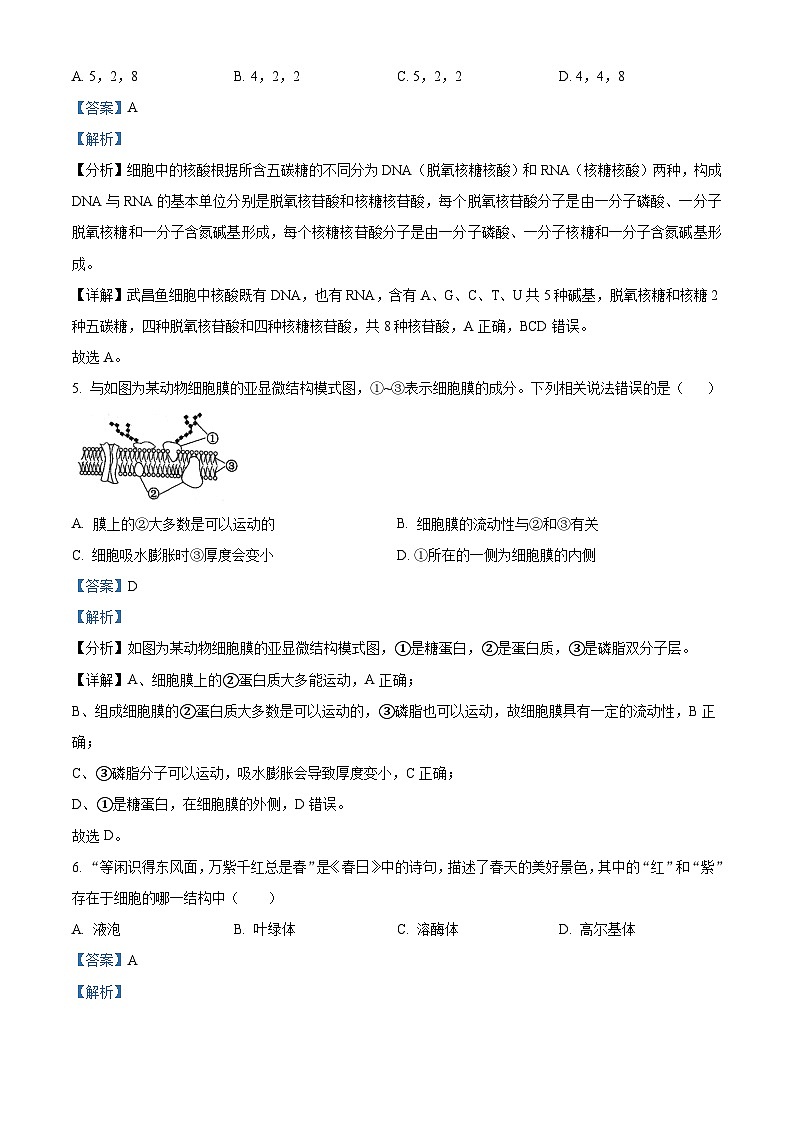 38,广西柳州铁一中学2023-2024学年高一上学期期末生物试题第3页