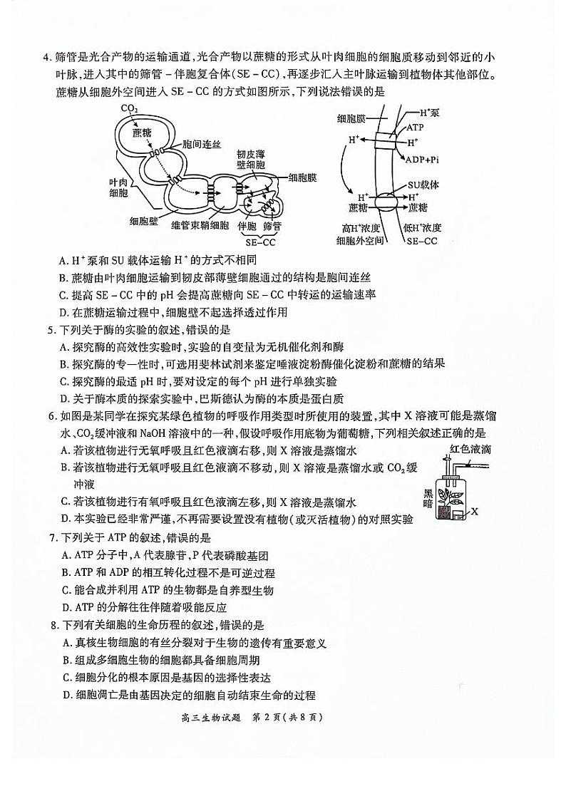 河南豫北名校2024届高三上学期高考备考精英联赛调研卷(1月期末)生物02