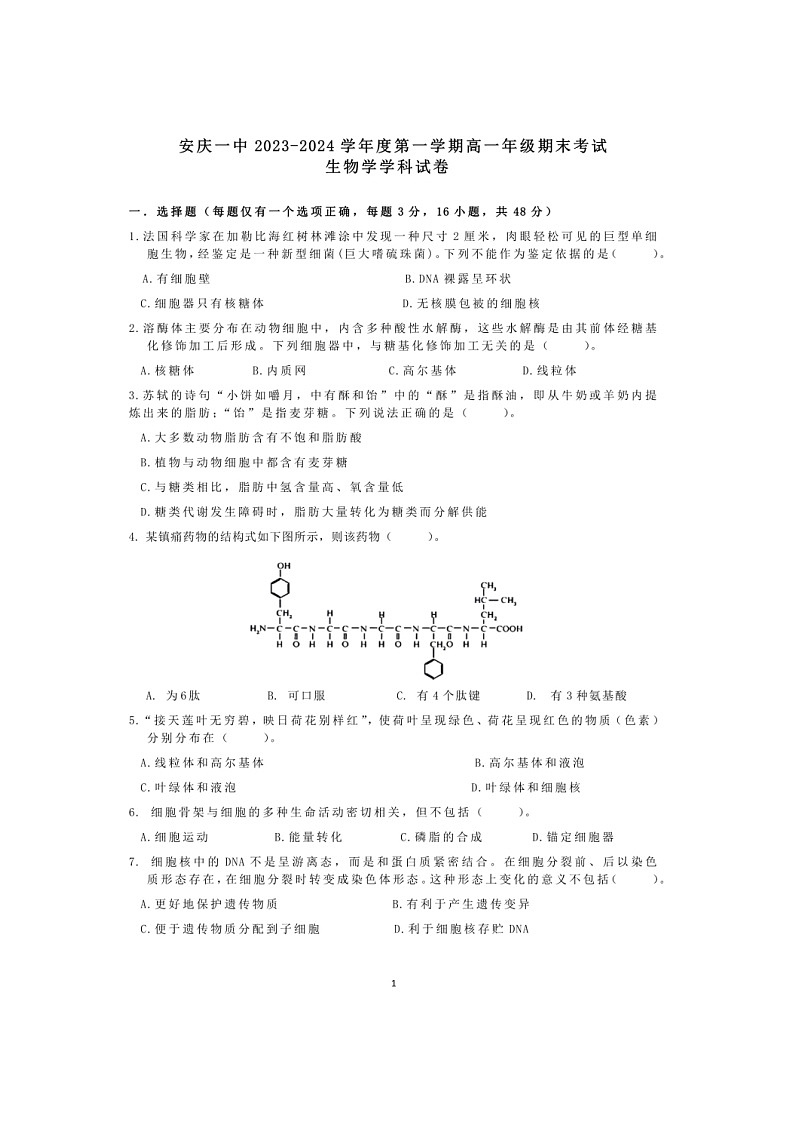 安徽省安庆市第一中学2023-2024学年高一上学期1月期末生物试题01