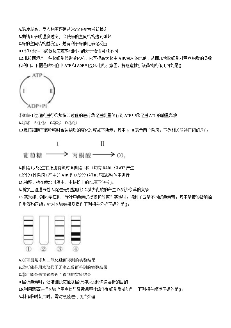 安徽省安庆市一中2023-2024学年高一1月期末生物试题第3页