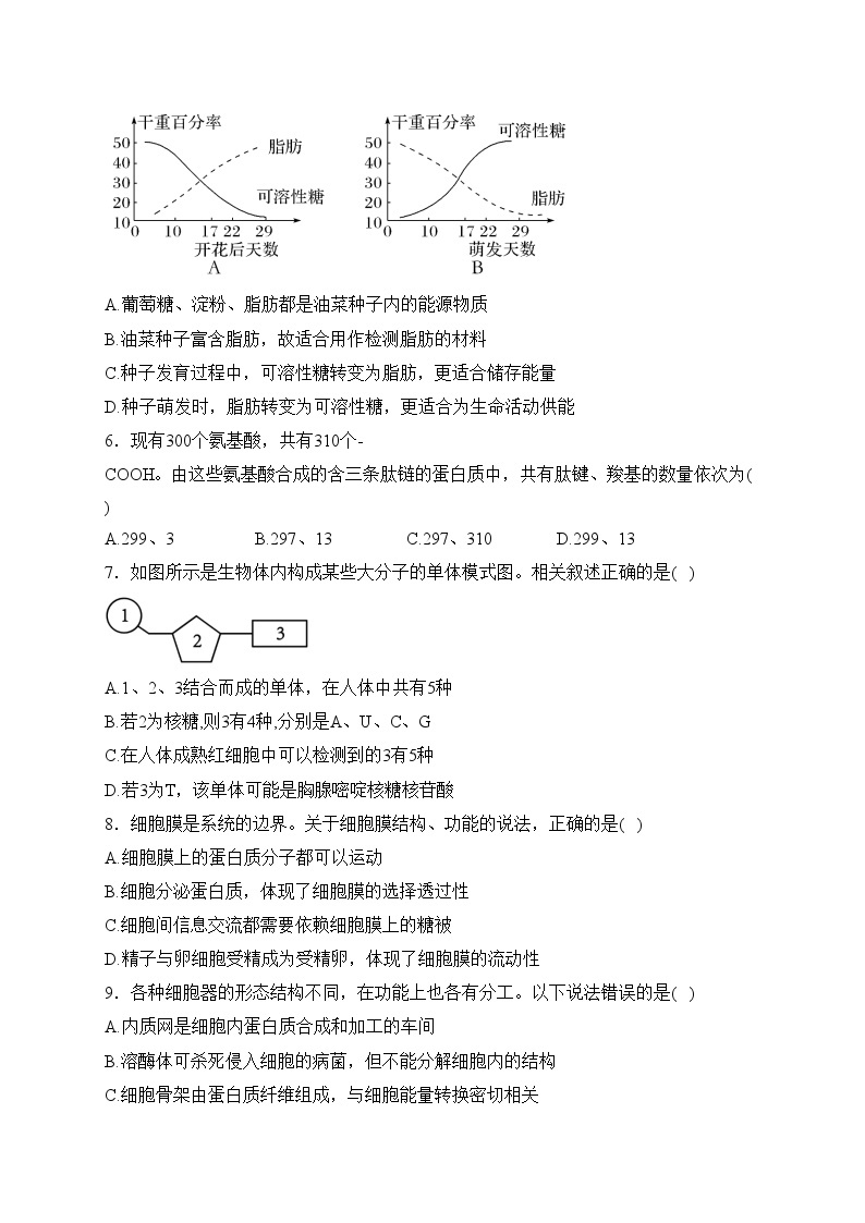 安徽省合肥市庐江县八校2023-2024学年高一上学期第二次集体练习生物试卷(含答案)02