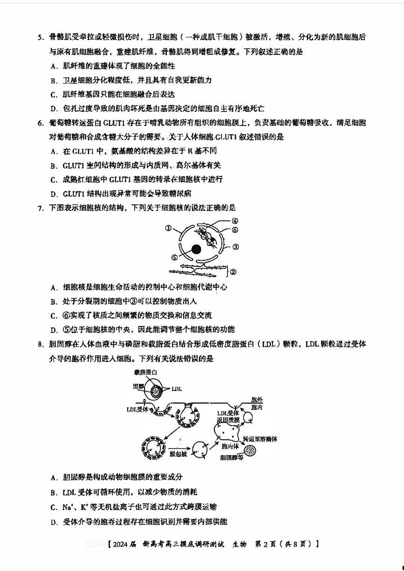 广西南宁市2023_2024高三生物上学期新高考摸底调研测试题第2页