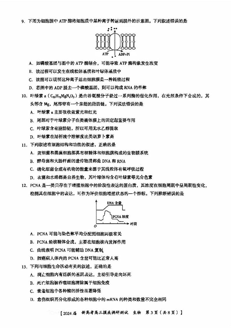 广西南宁市2023_2024高三生物上学期新高考摸底调研测试题第3页
