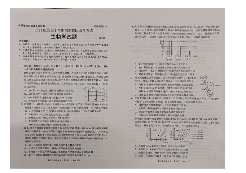 60,山东省日照市2023-2024学年高三上学期生物1月期末试题第1页