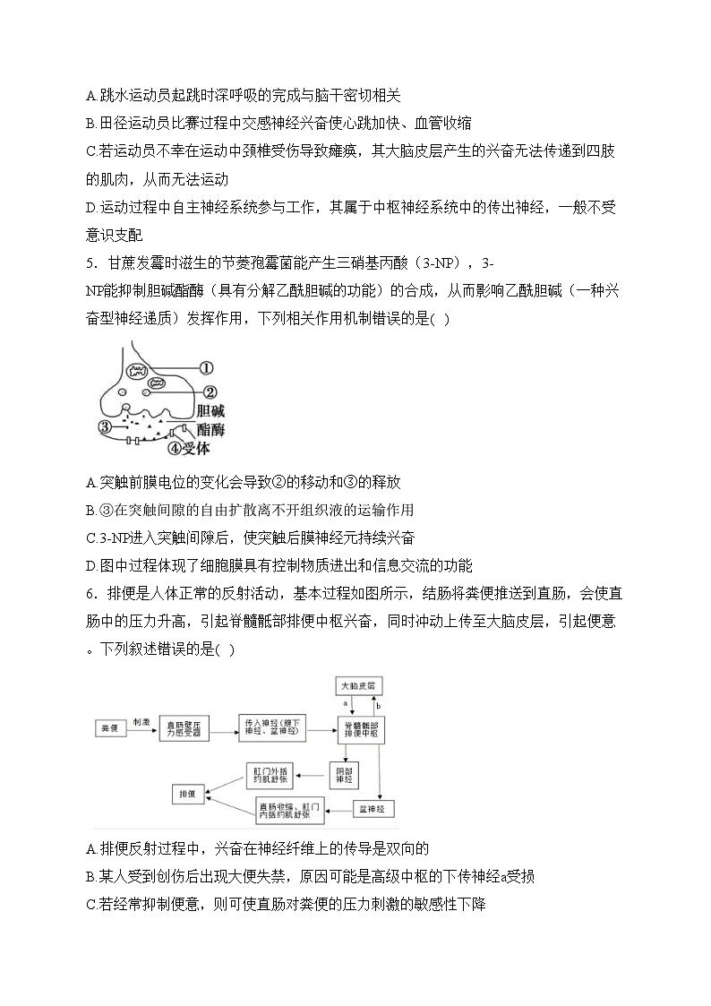四川省凉山州安宁河2023-2024学年高二上学期期末联考生物试卷(含答案)第2页