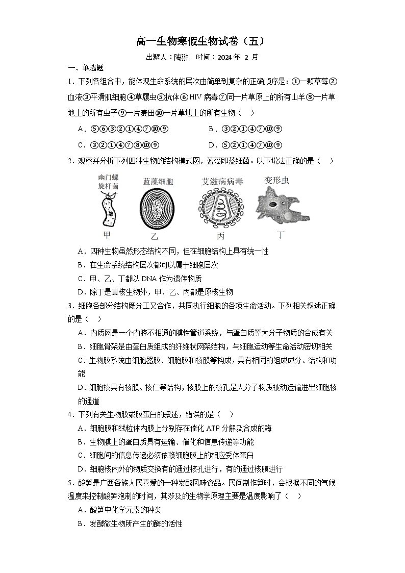 203，河南省信阳高级中学2023-2024学年高一生物寒假作业（五）