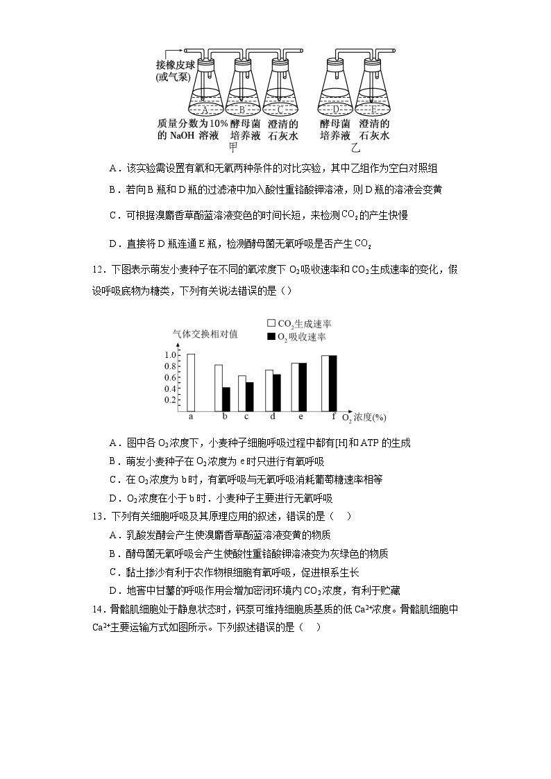 203，河南省信阳高级中学2023-2024学年高一生物寒假作业（五）03