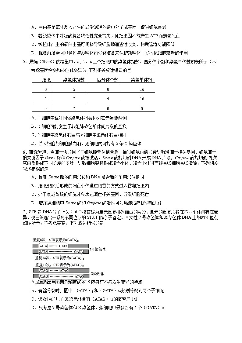 重庆市2023_2024高三生物上学期开学考试试题第2页