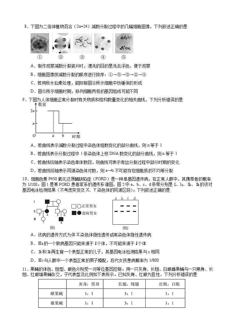 重庆市2023_2024高三生物上学期开学考试试题第3页