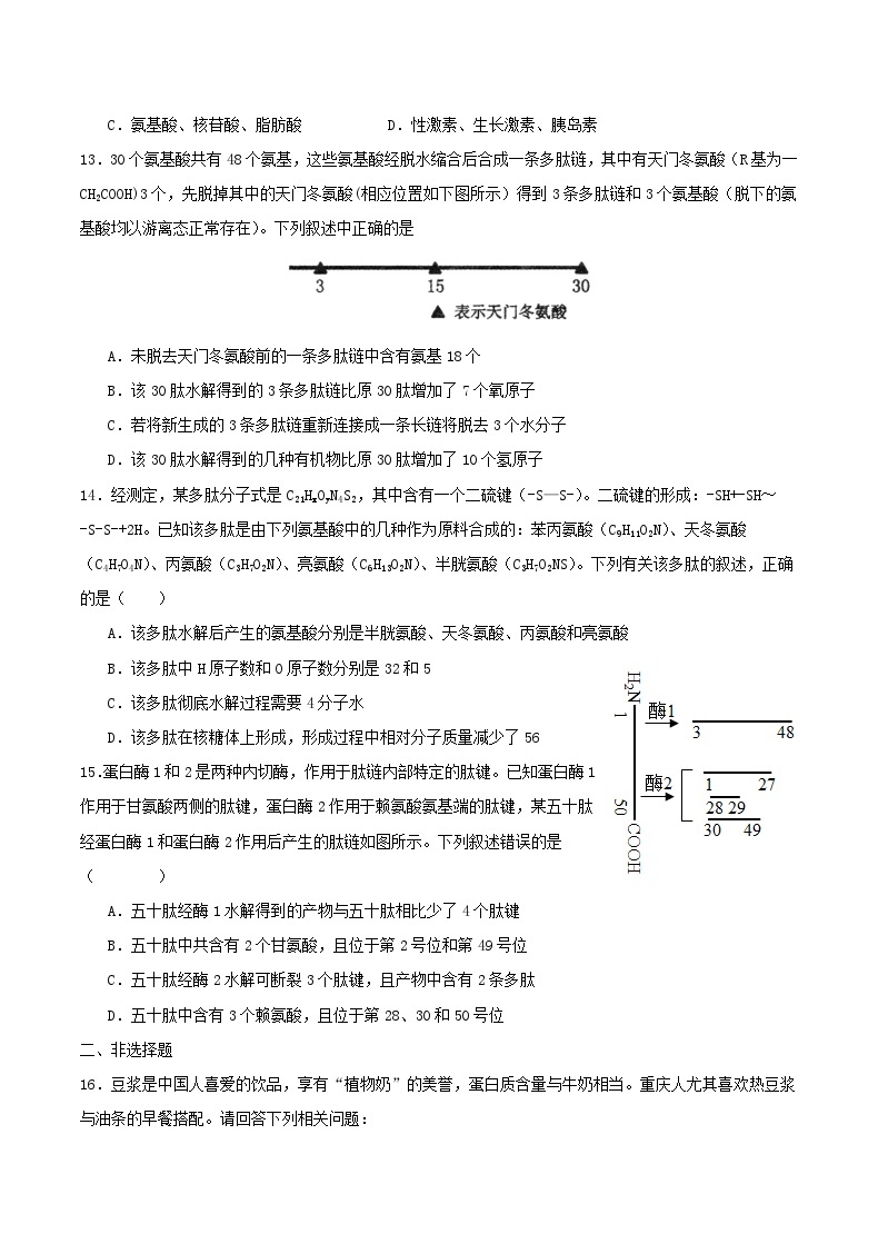 重庆市缙云教育联盟2023_2024学年高一生物上学期9月月考试题03