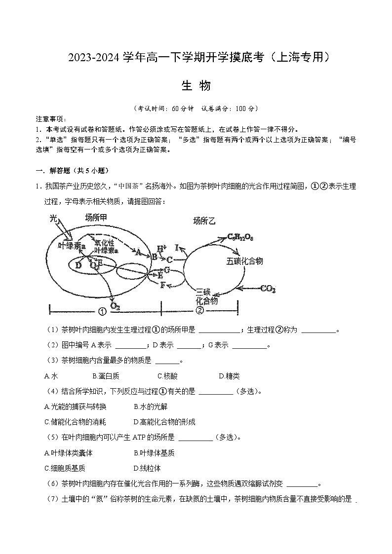 高一生物开学摸底考(上海专用)(解析版)第1页
