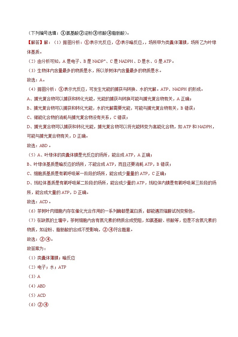 高一生物开学摸底考(上海专用)(解析版)第2页