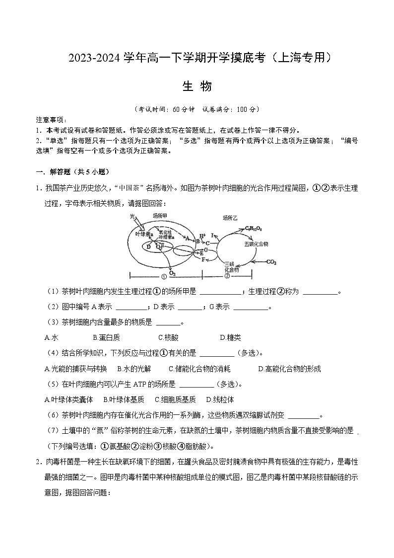 高一生物开学摸底考(上海专用)(考试版)第1页