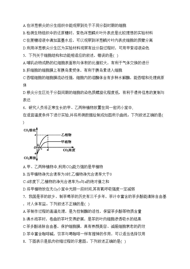 福建省“宁化、永安、尤溪、大田、沙县一中”五校2024届高三上学期11月期中联考生物试卷(含答案)02