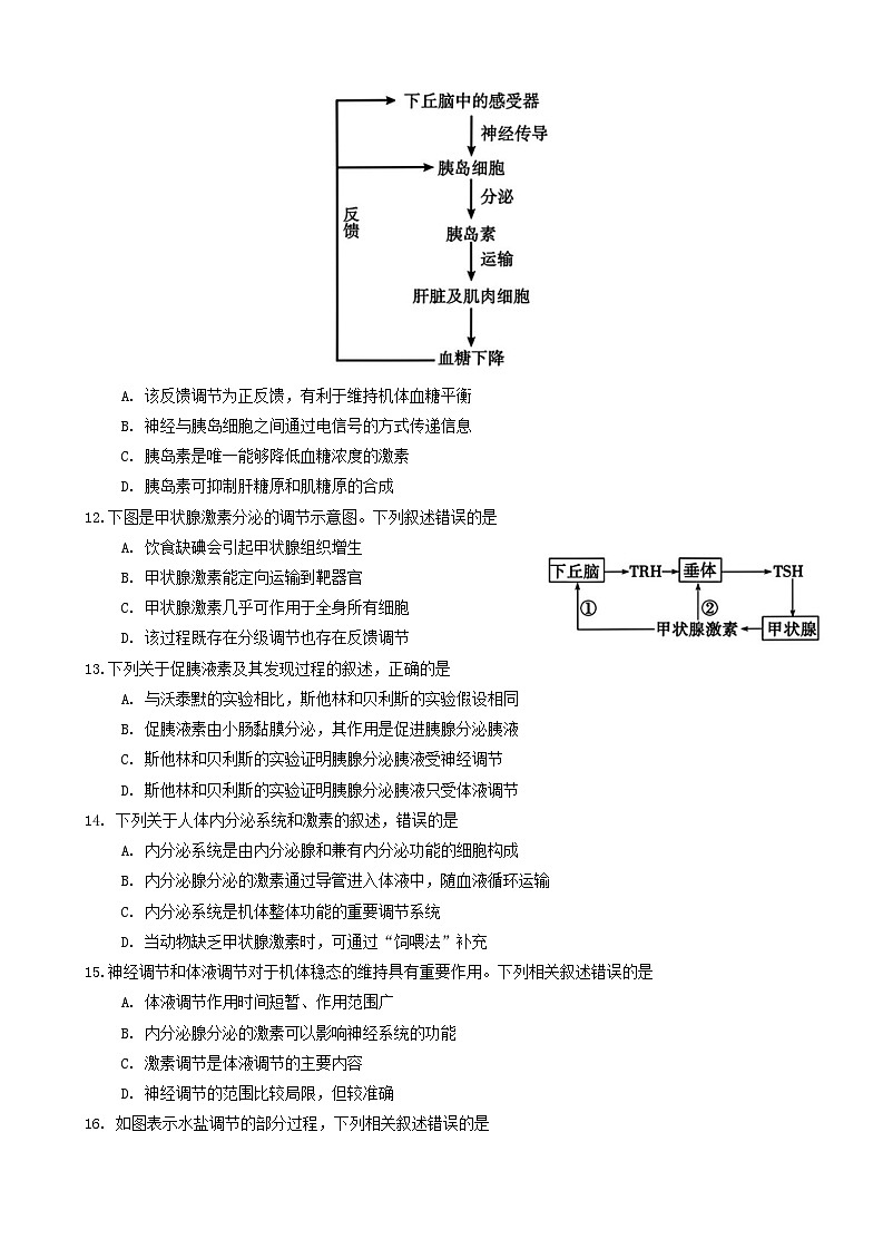 安徽省蚌埠市2023-2024学年高二上学期期末考试生物试卷(Word版附答案)第3页