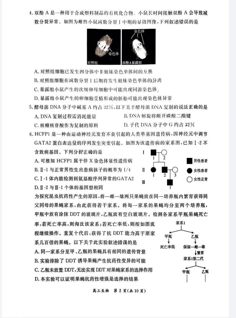 北京市东城区2023-2024学年高三上学期期末考试生物试题（PDF版附答案）02