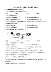 福建省莆田市2023-2024学年高一上学期期末生物试题(Word版附解析)