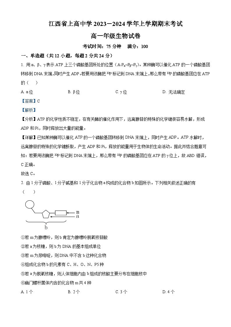 江西省宜春市上高中学2023-2024学年高一上学期期末生物试题(解析版)第1页