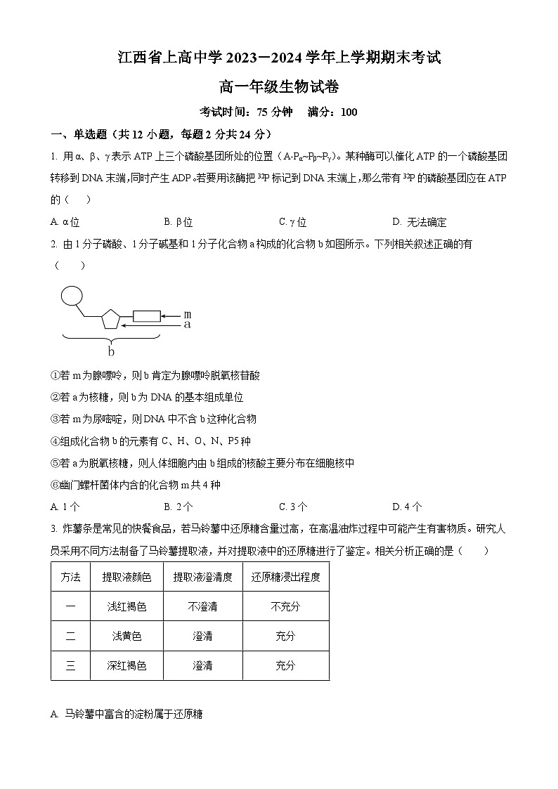 江西省宜春市上高中学2023-2024学年高一上学期期末生物试题(原卷版)第1页