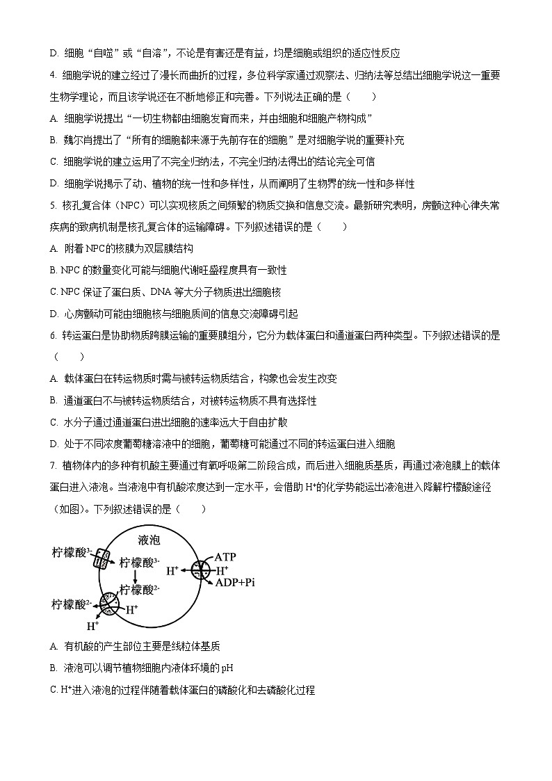 2024聊城高一上学期期末考试生物含解析第2页