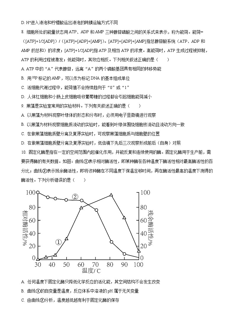 2024聊城高一上学期期末考试生物含解析第3页