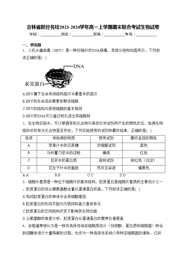 吉林省部分名校2023-2024学年高一上学期期末联合考试生物试卷(含答案)第1页