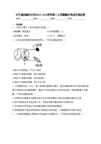辽宁省抚顺市六校2023-2024学年高二上学期期末考试生物试卷(含答案)